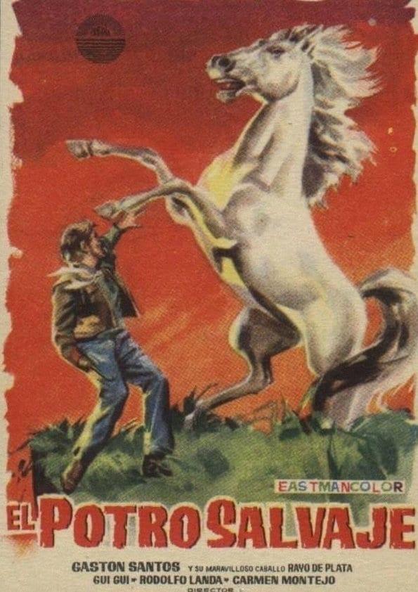 The Wild Horse
