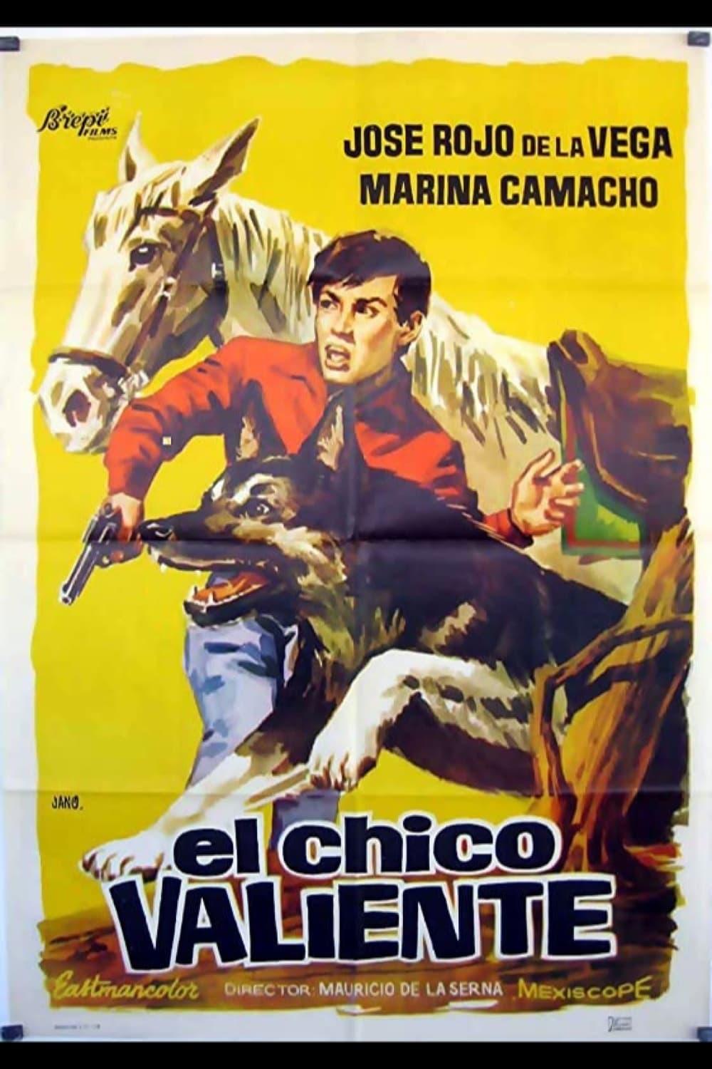 Un chico valiente