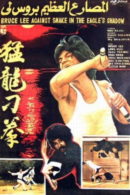Bruce Against Snake in the Eagle's Shadow
