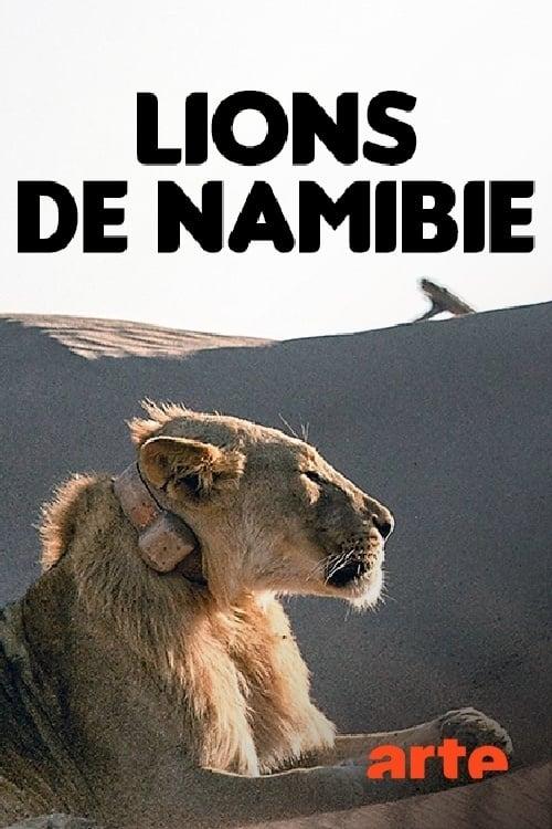 Desert Lions of the Namib