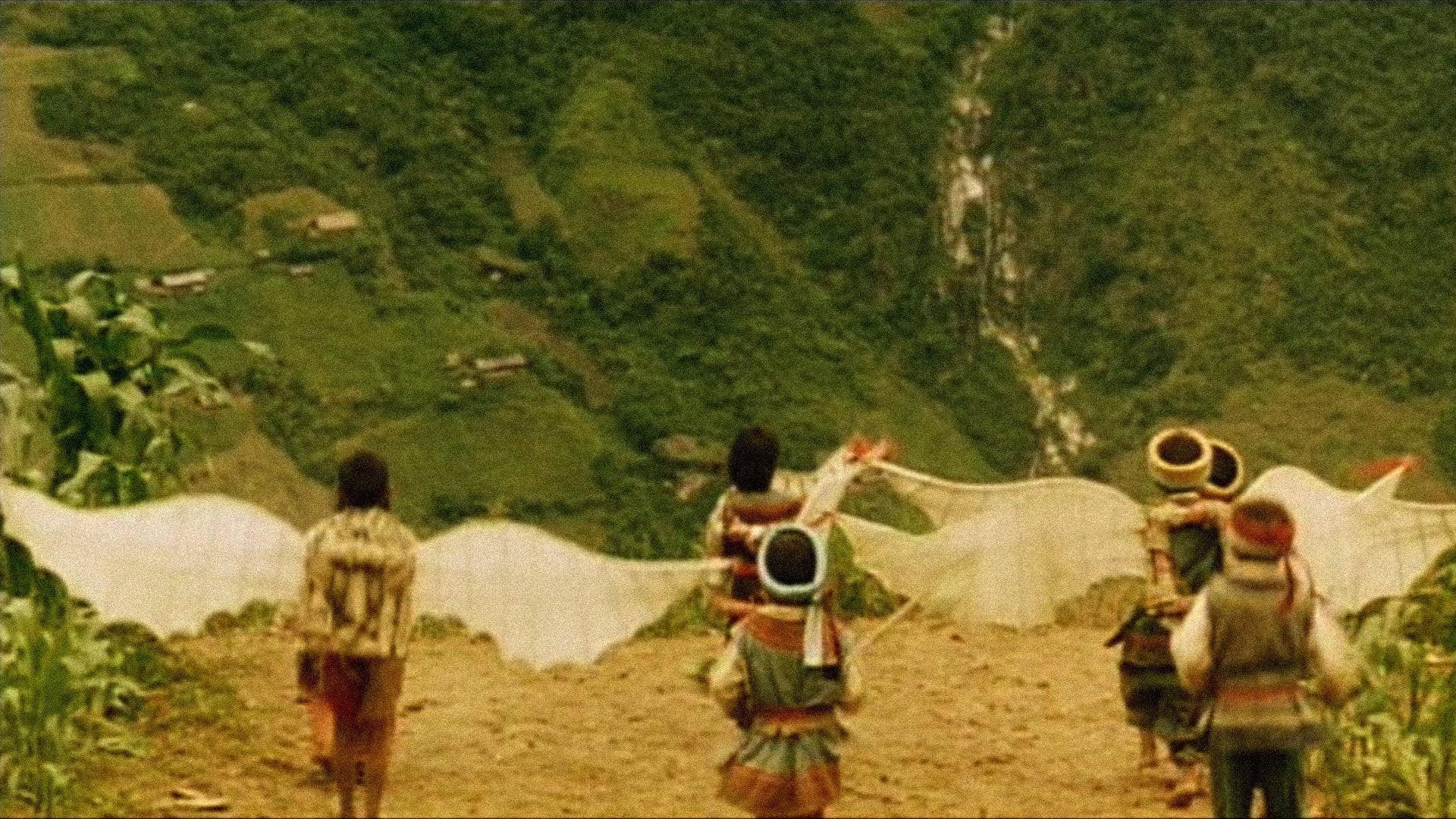 The Bird People in China