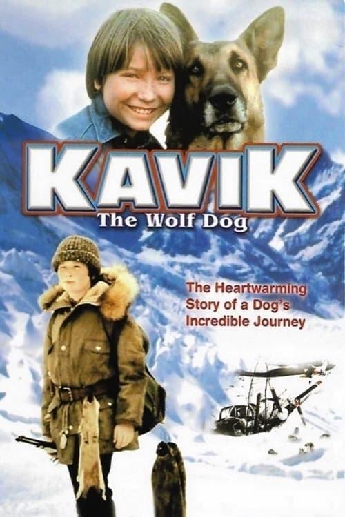 Kavik, der Schlittenhund