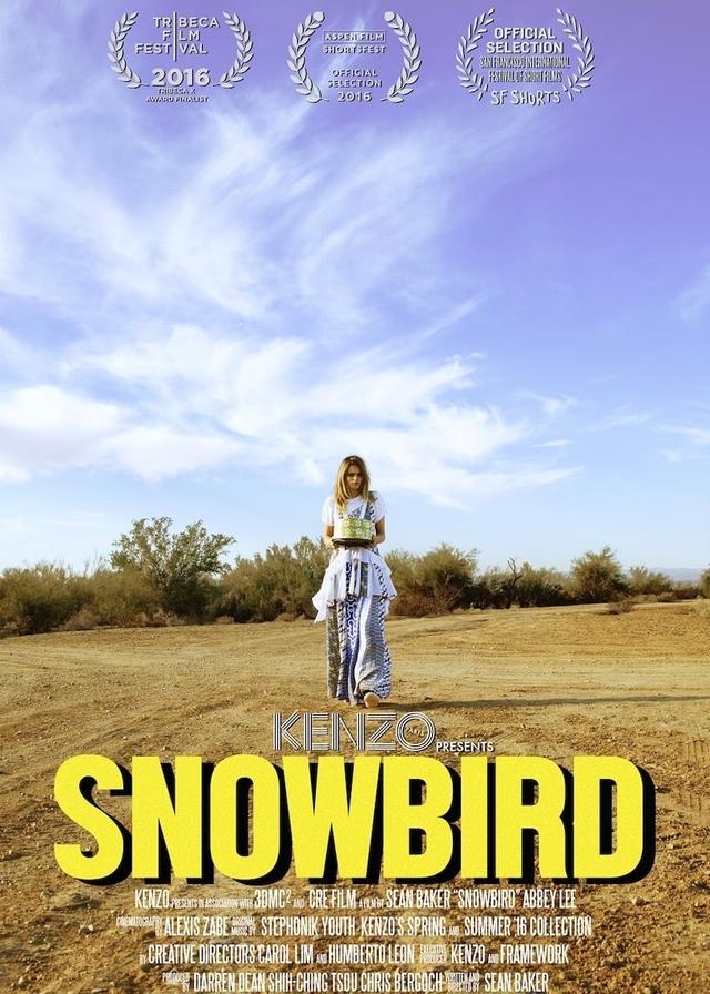 Snowbird