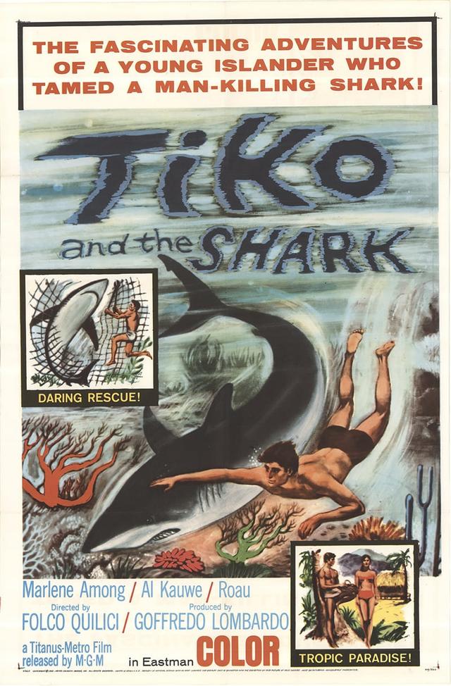 Ti-Koyo E Il Suo Pescecane