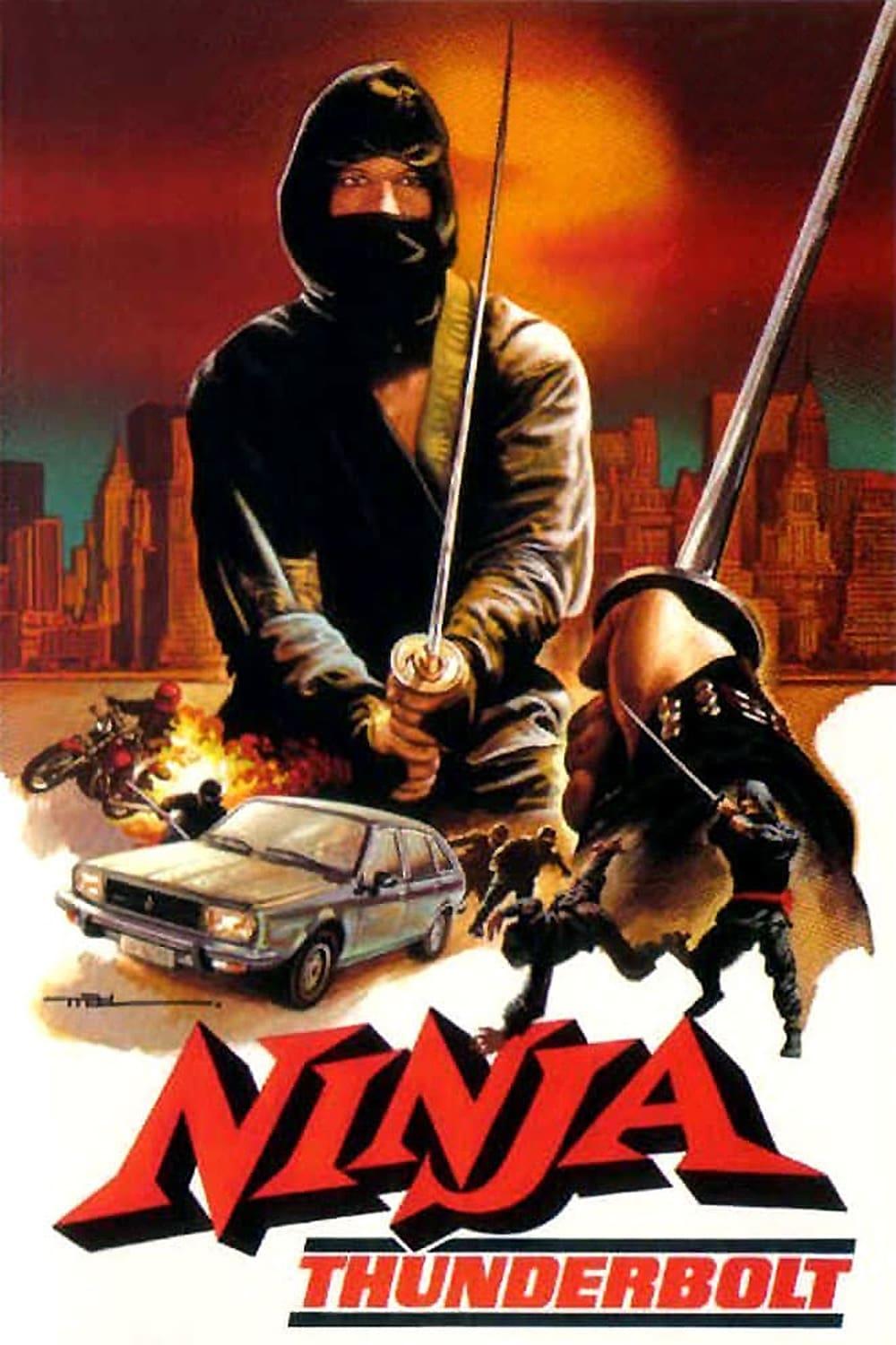 Ninja and the Thief