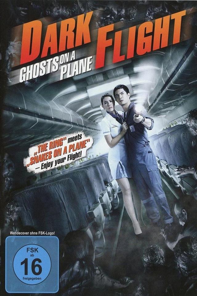 407 Dark Flight 3D