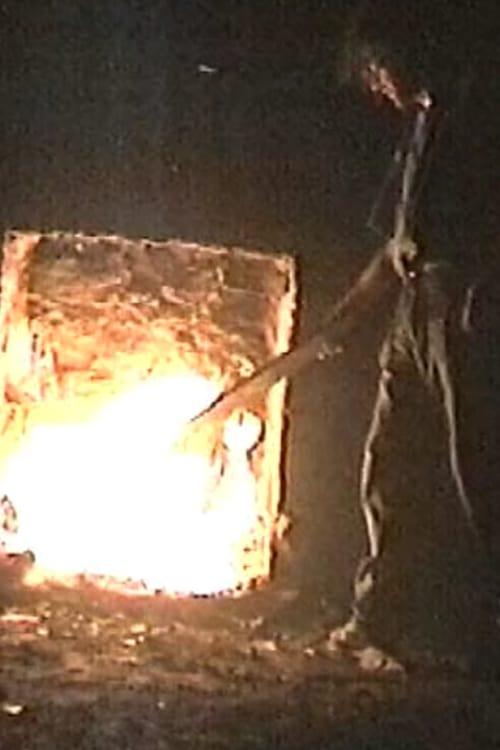 The K Foundation Burn a Million Quid