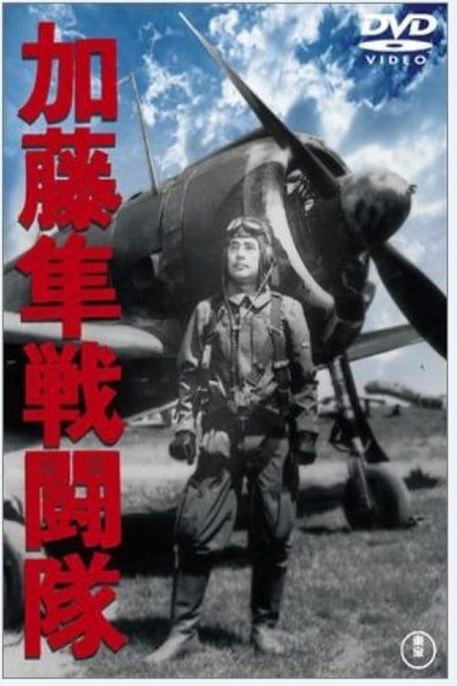 Lt. Colonel Kato's Hayabusa Air Squadron