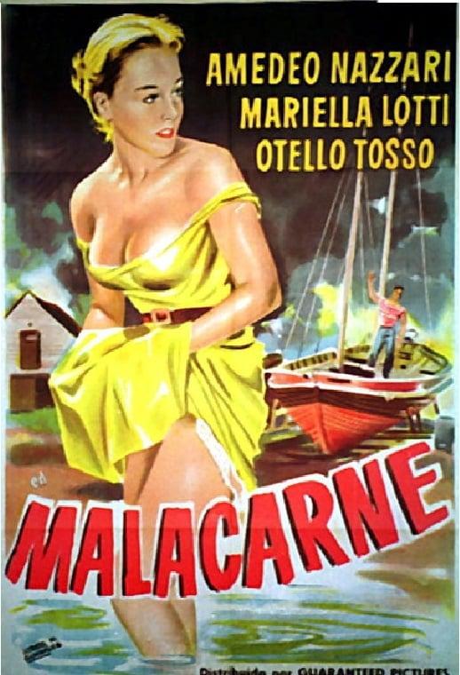 For the Love of Mariastella