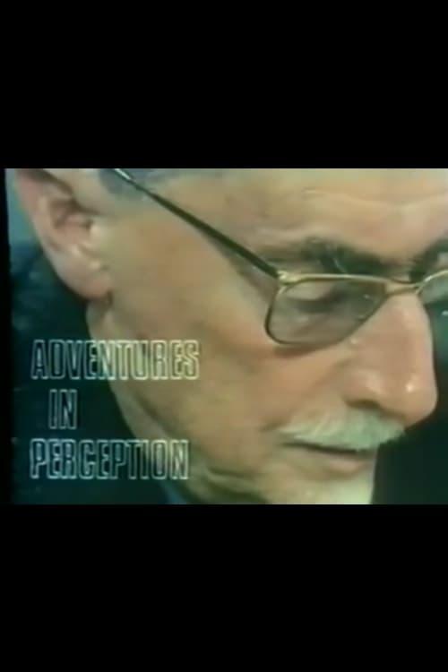 Adventures in Perception