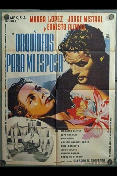 Orquídeas para mi esposa