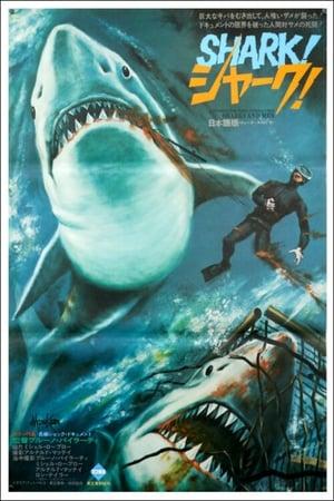 Shark and Men