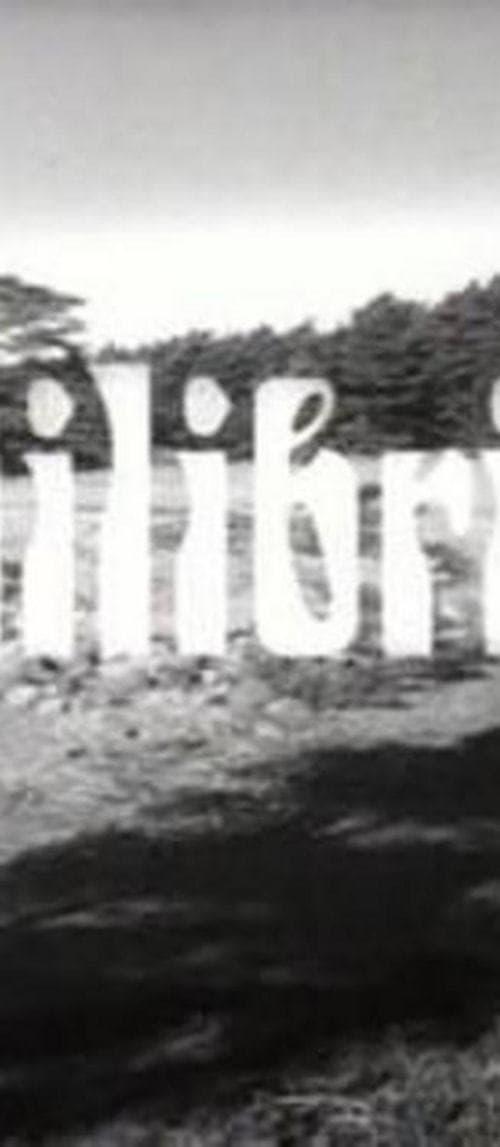 The Other Sex