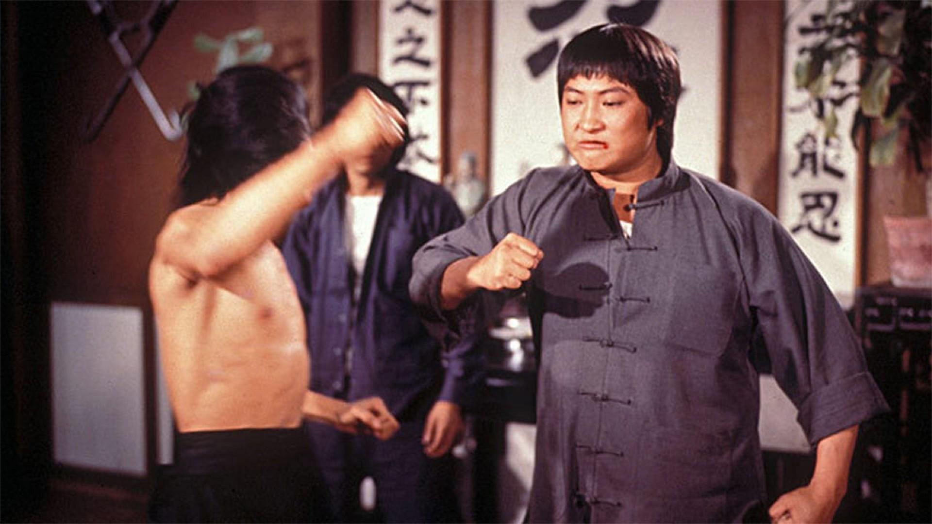 Enter the Fat Dragon