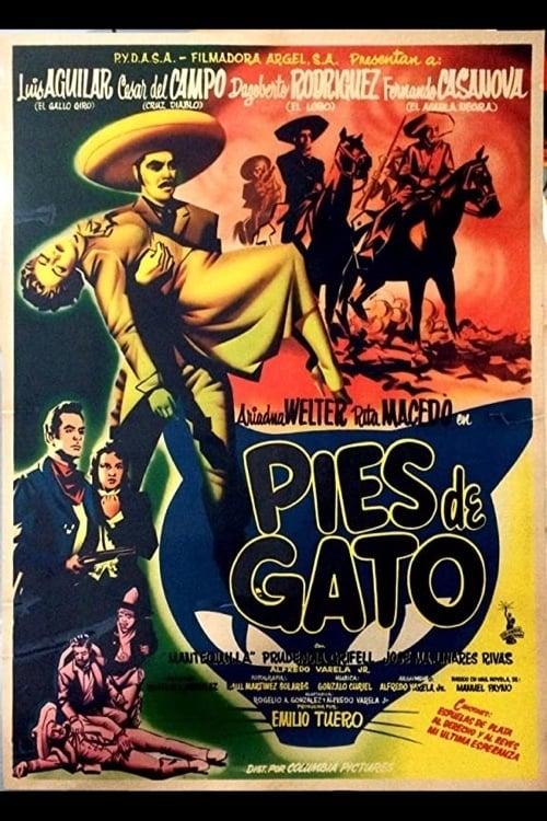 Pies de gato