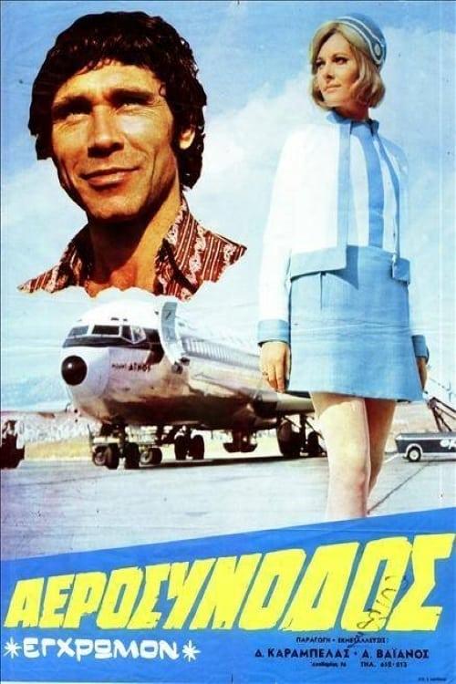 The Air Stewardess