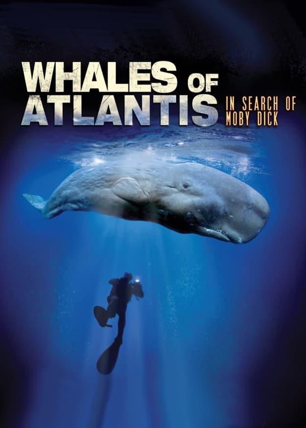 Whales of Atlantis: In Search of Moby Dick