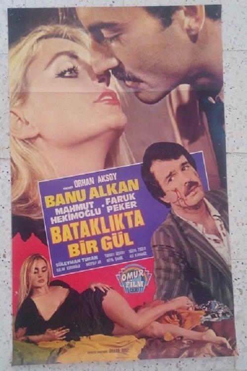 Bataklıkta Bir Gül
