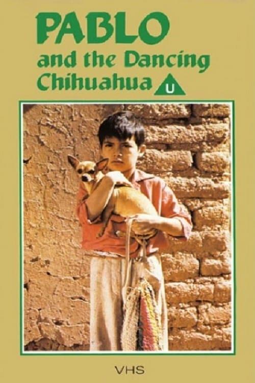 Pablo and the Dancing Chihuahua