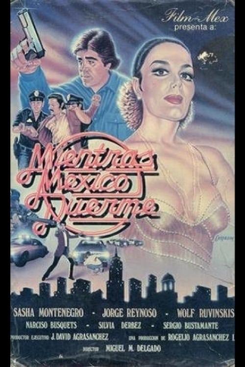 While Mexico Sleeps
