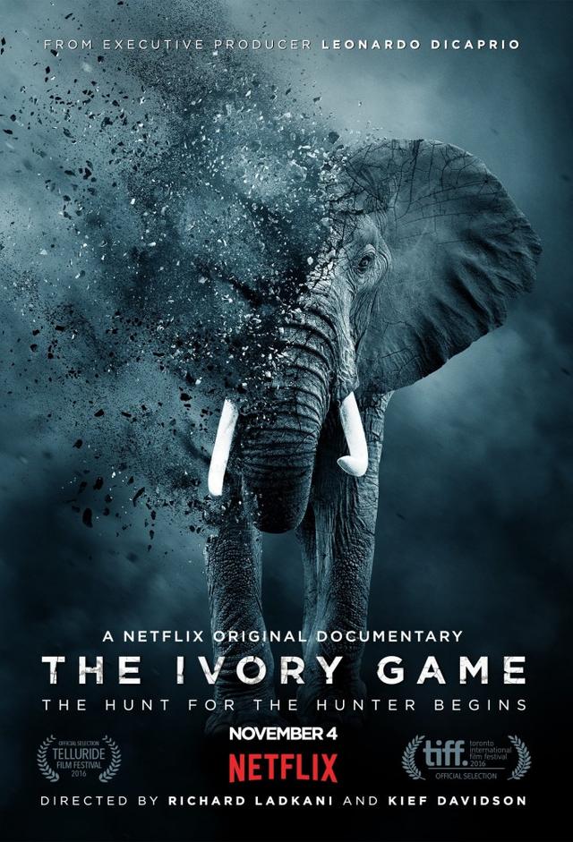 The Ivory Game