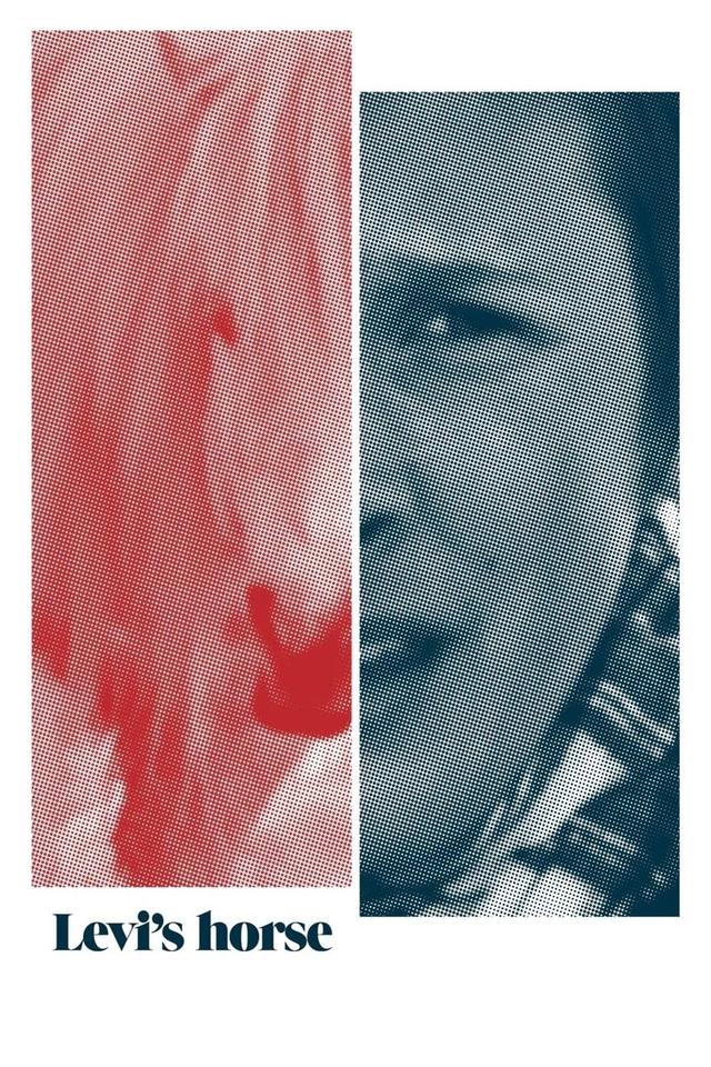Levi's Horse