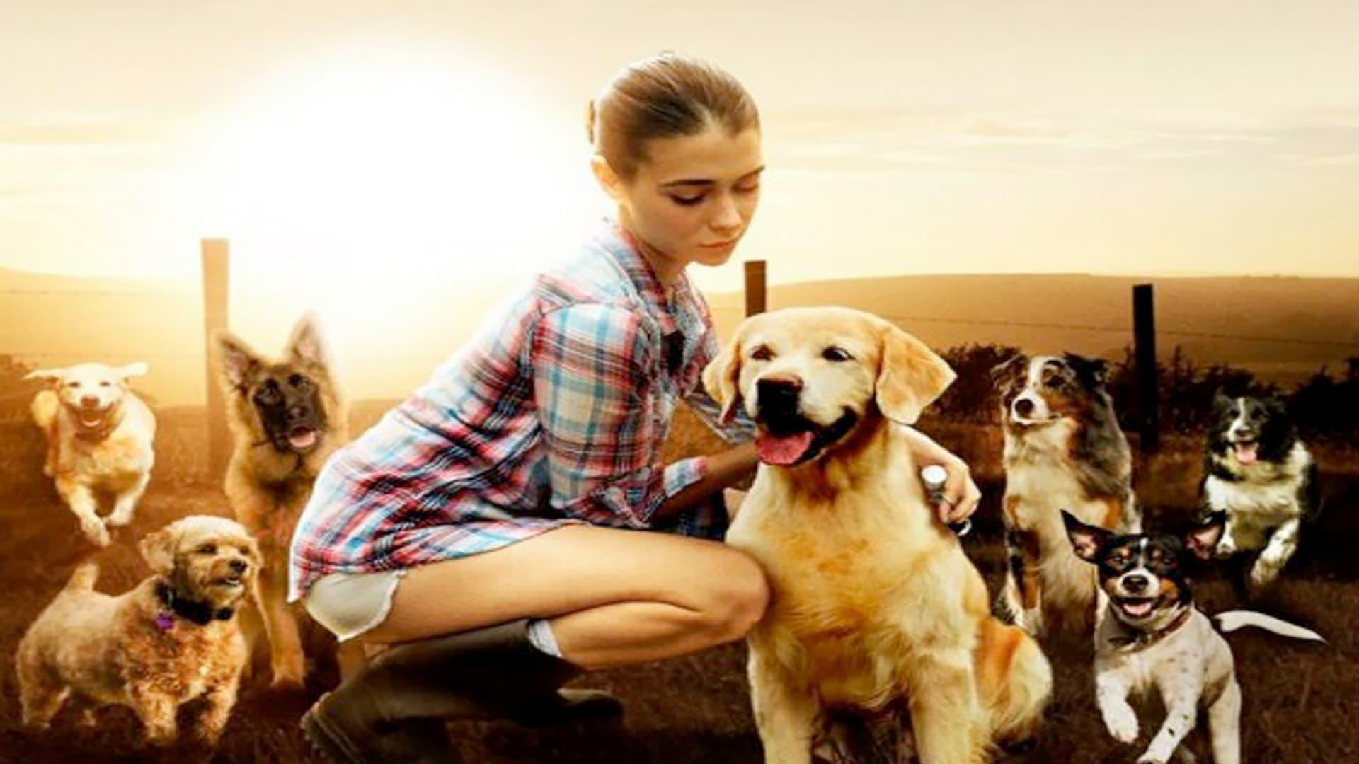 The Dog Lover