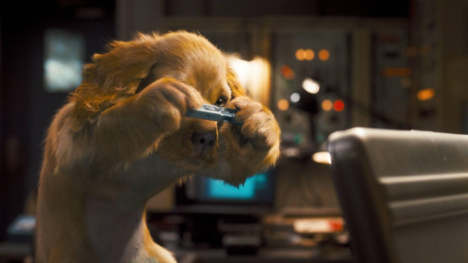 Kediler ve Köpekler 2: Kitty Galore' un İntikamı