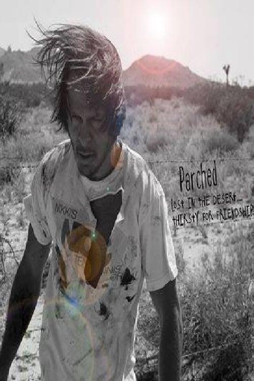 Lost in The Desert, Thirsty for Friendship