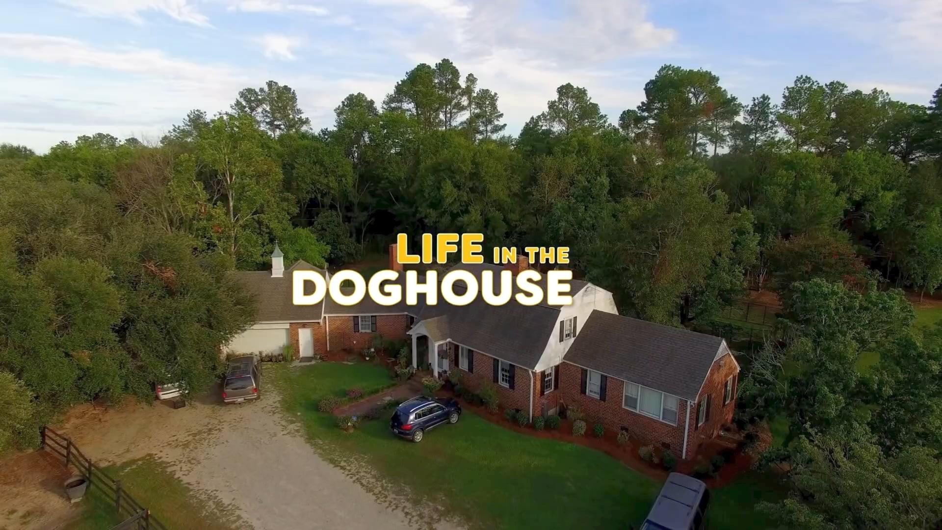Life in the Doghouse