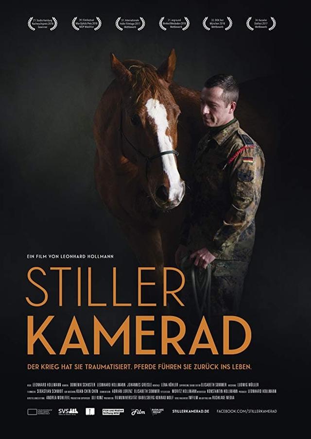 Silent Comrade: How Horses Help Soldiers to Overcome Their Trauma