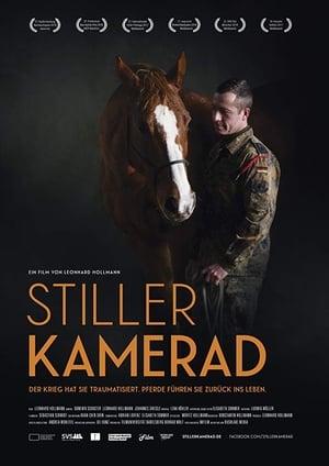 Silent Comrade: How Horses Help Soldiers to Overcome Their Trauma
