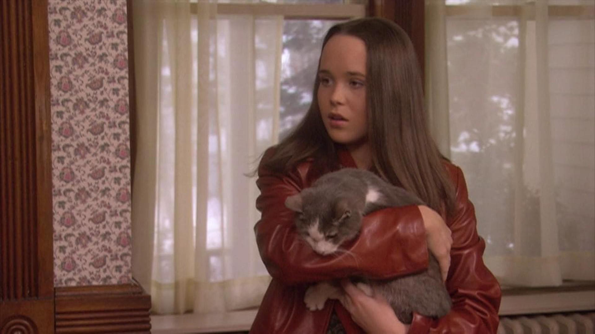 Mrs. Ashboro's Cat