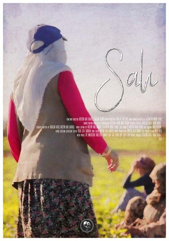 Salies