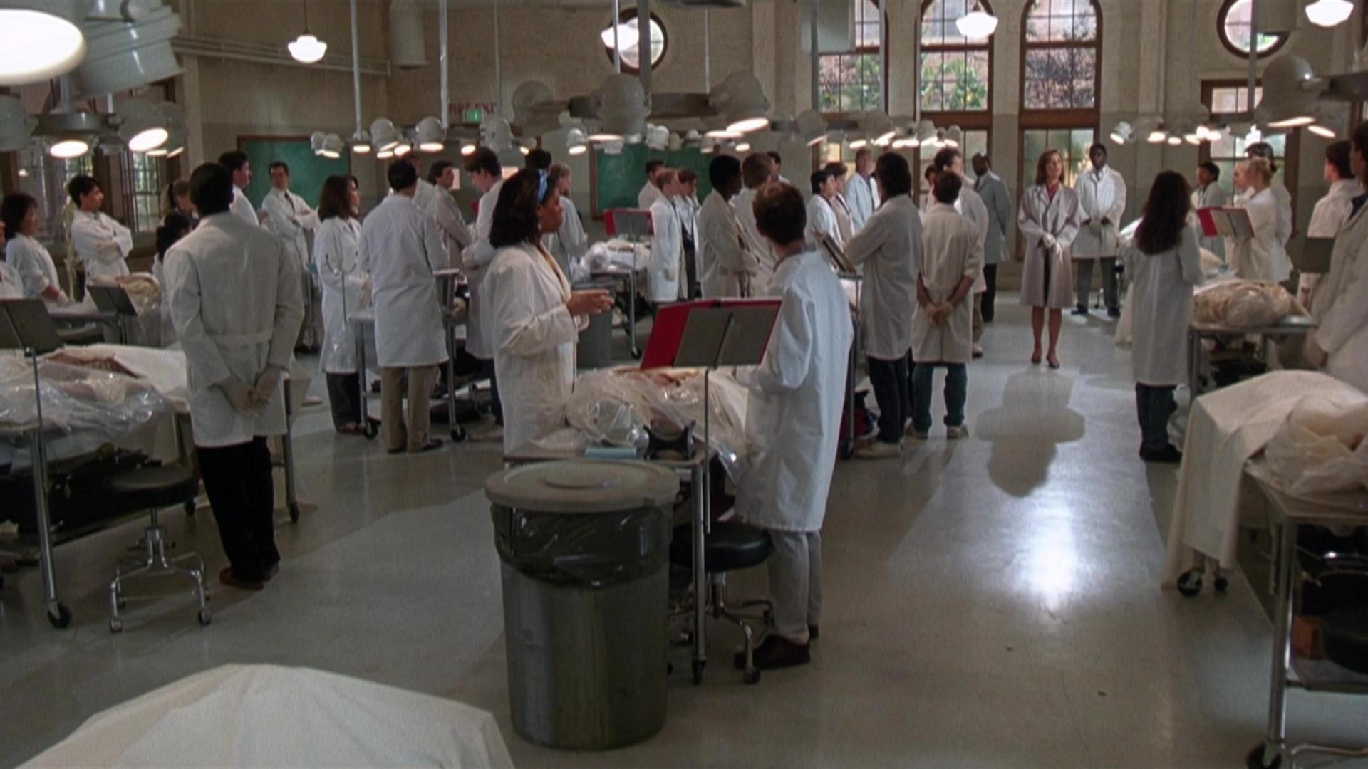 Gross Anatomy