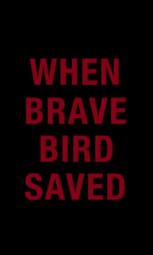 When Brave Bird Saved