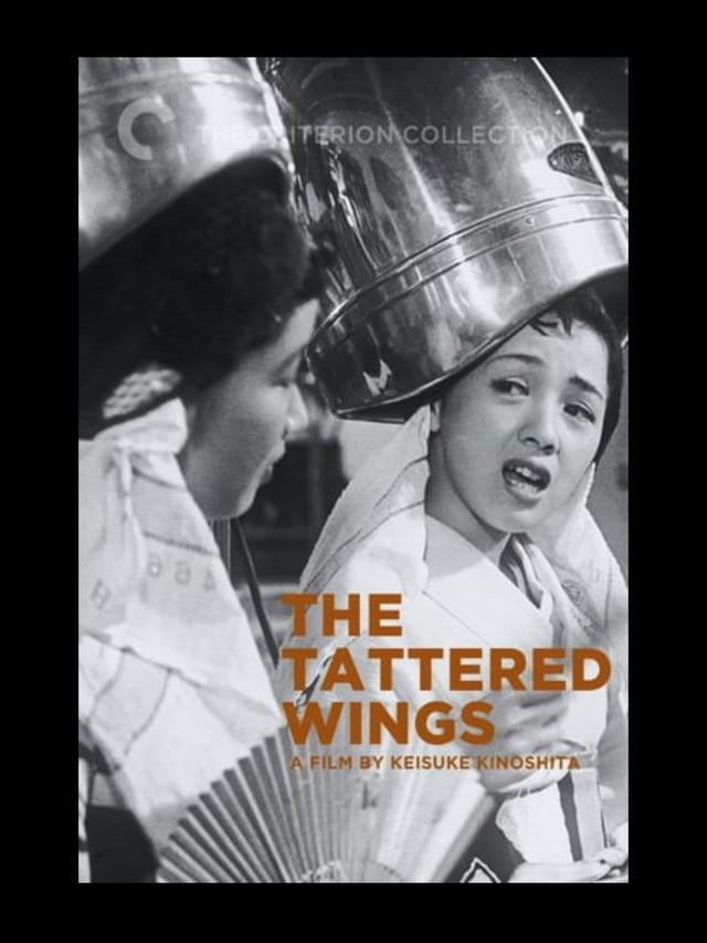 The Tattered Wings