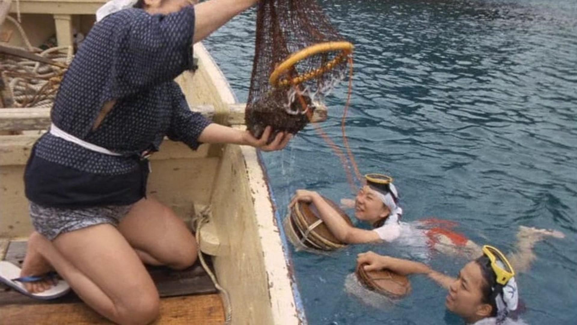 Horny Diver: Tight Shellfish