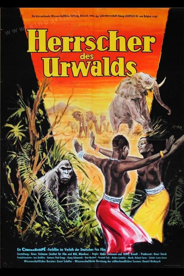 Vrijheren van het woud