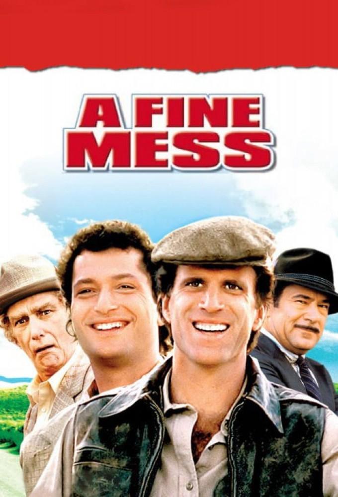 A Fine Mess