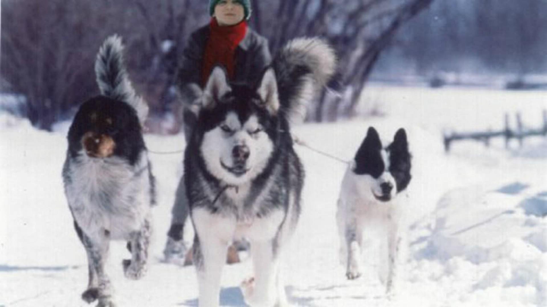 Kayla: A Cry in the Wilderness