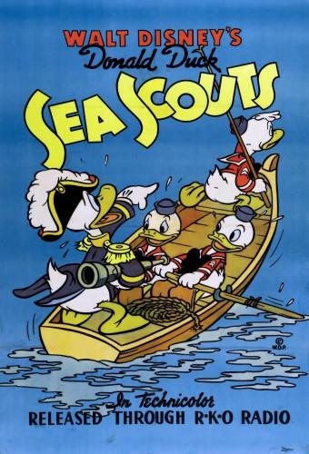 Sea Scouts