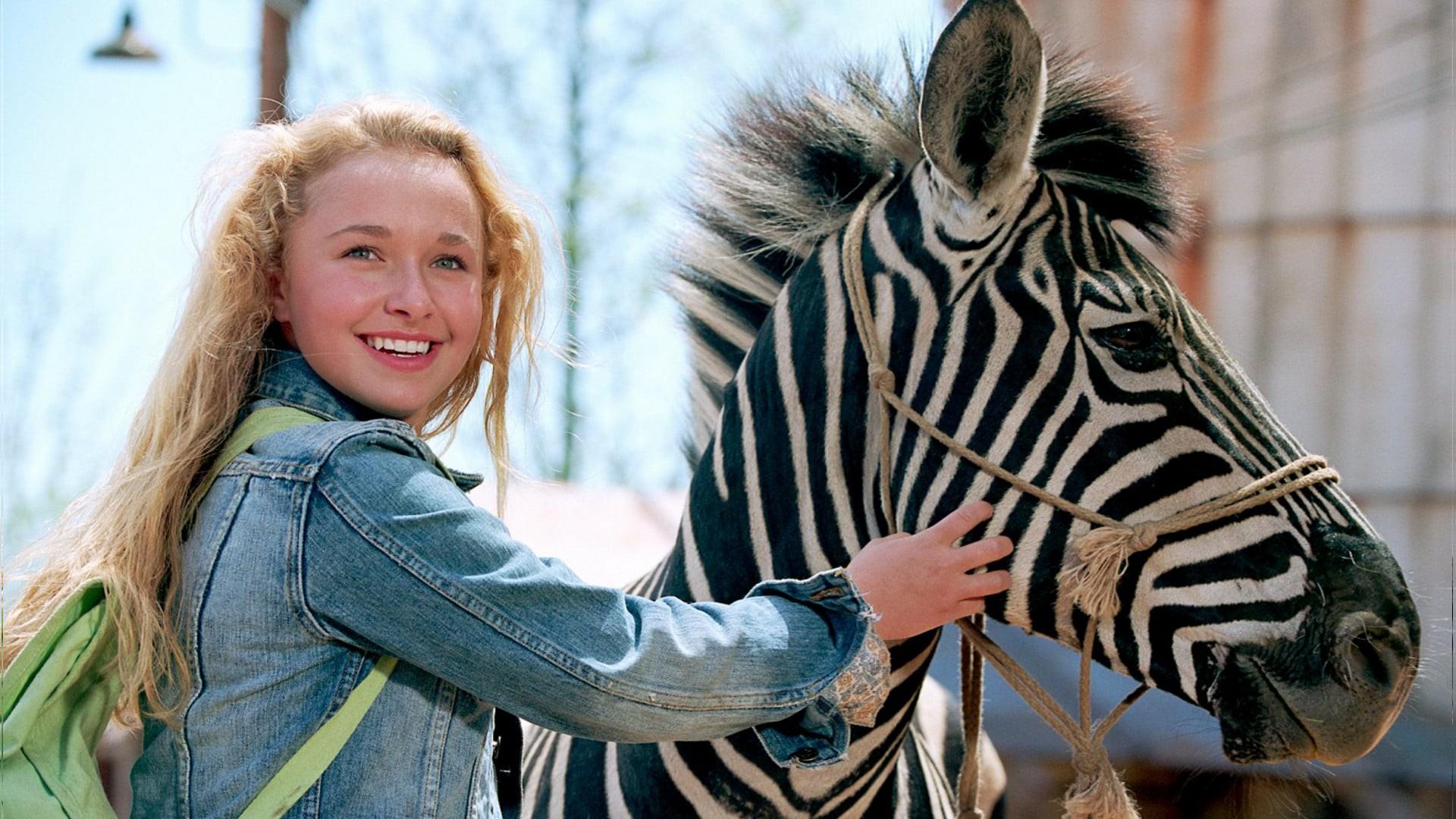 Zebra z klasą