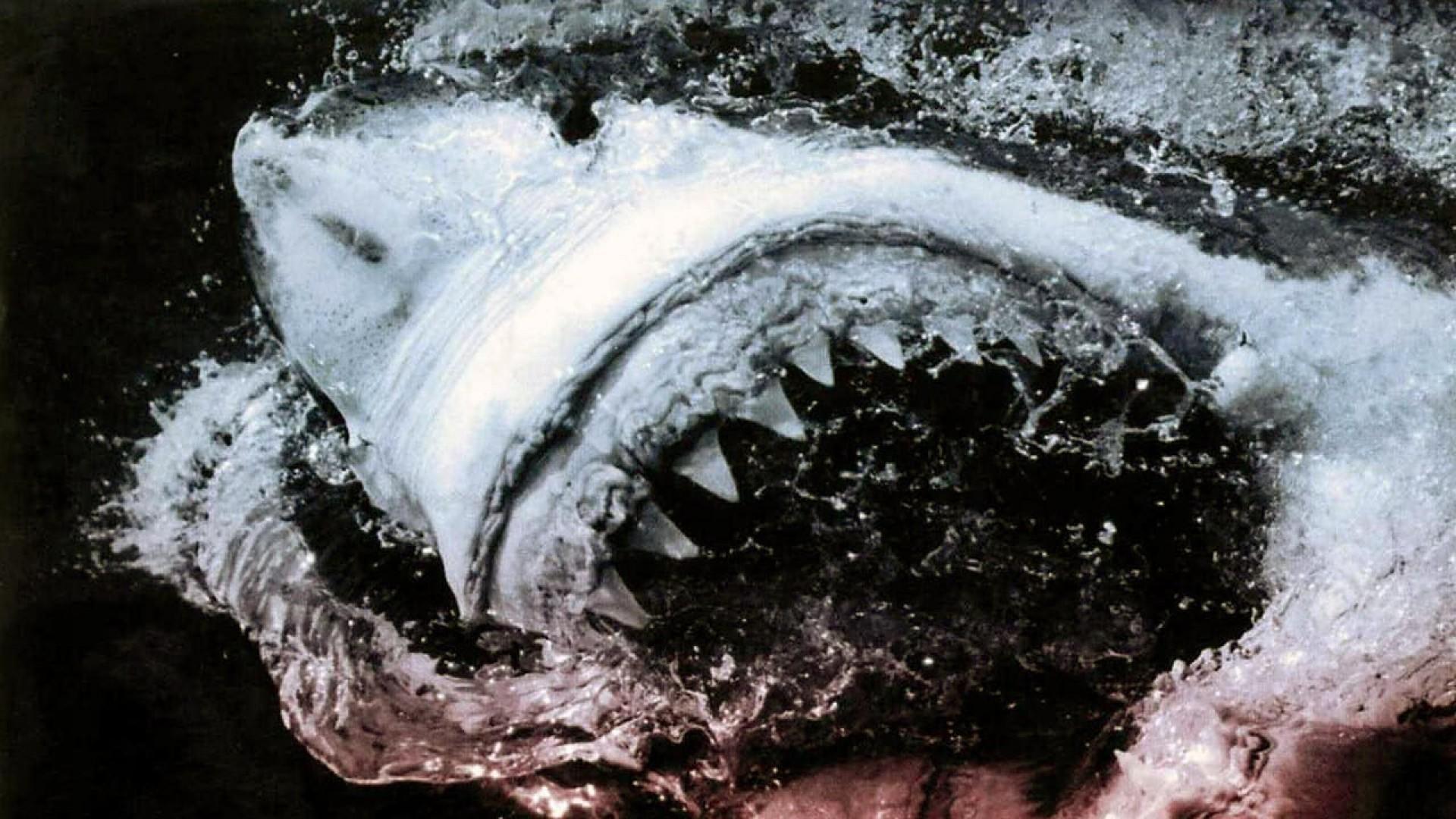 12 Days of Terror
