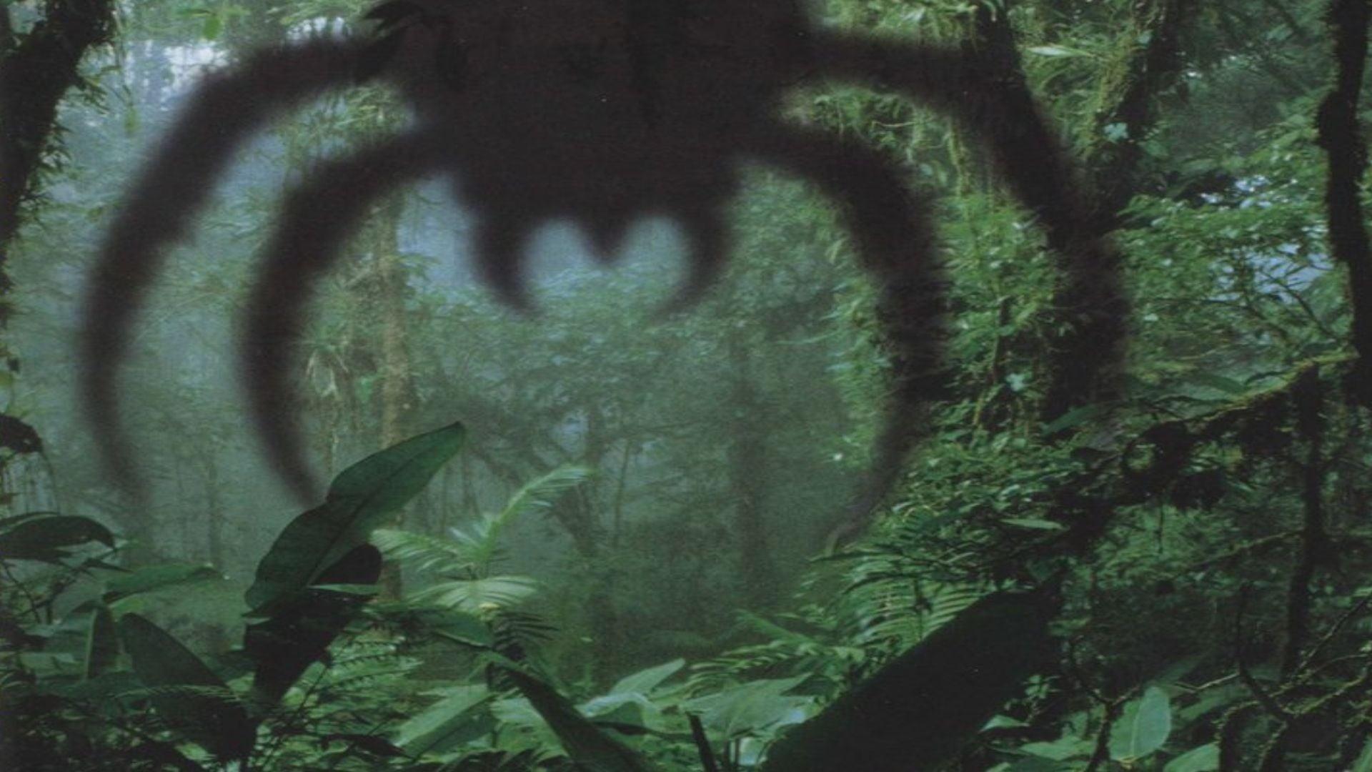 Arachnid