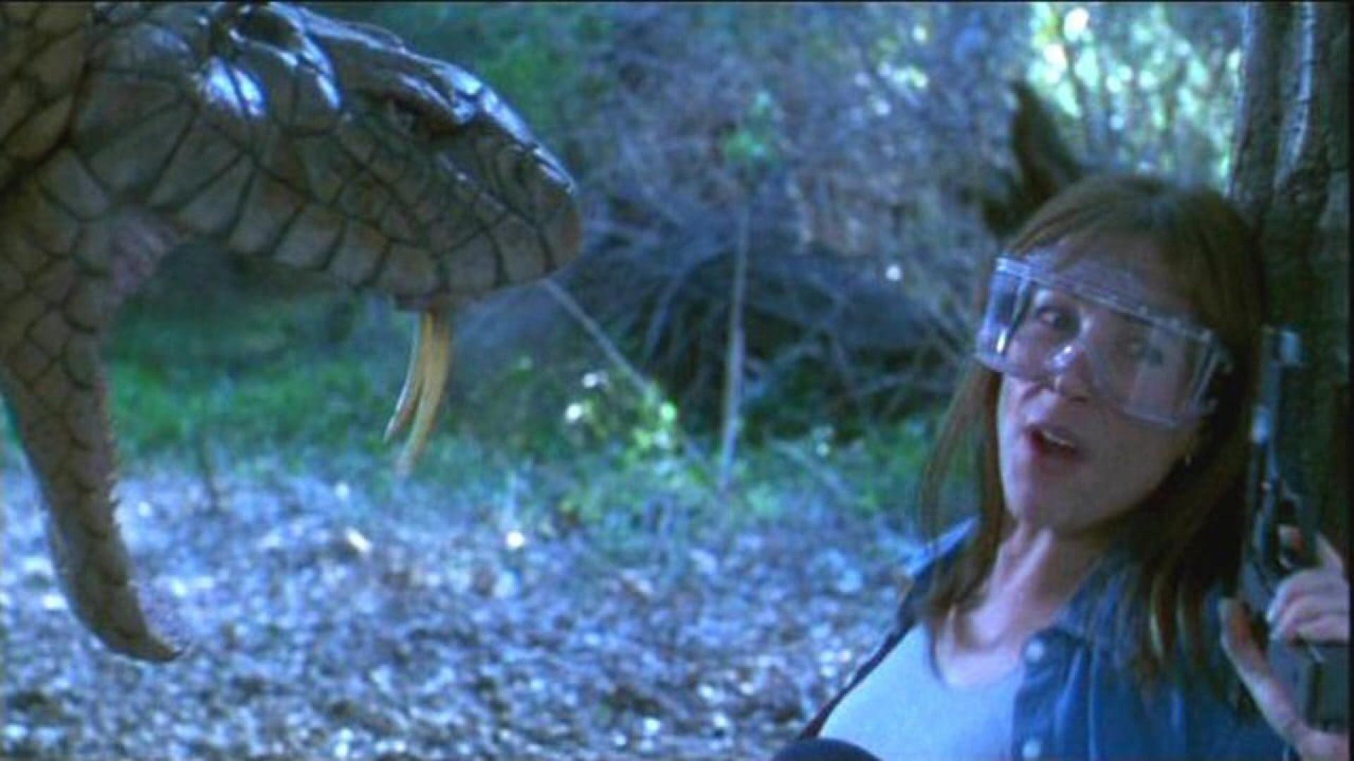 King Cobra