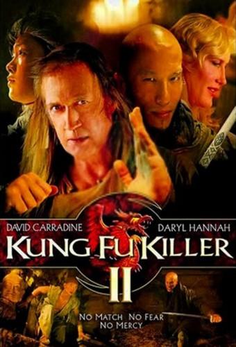 Kung Fu Killer 2