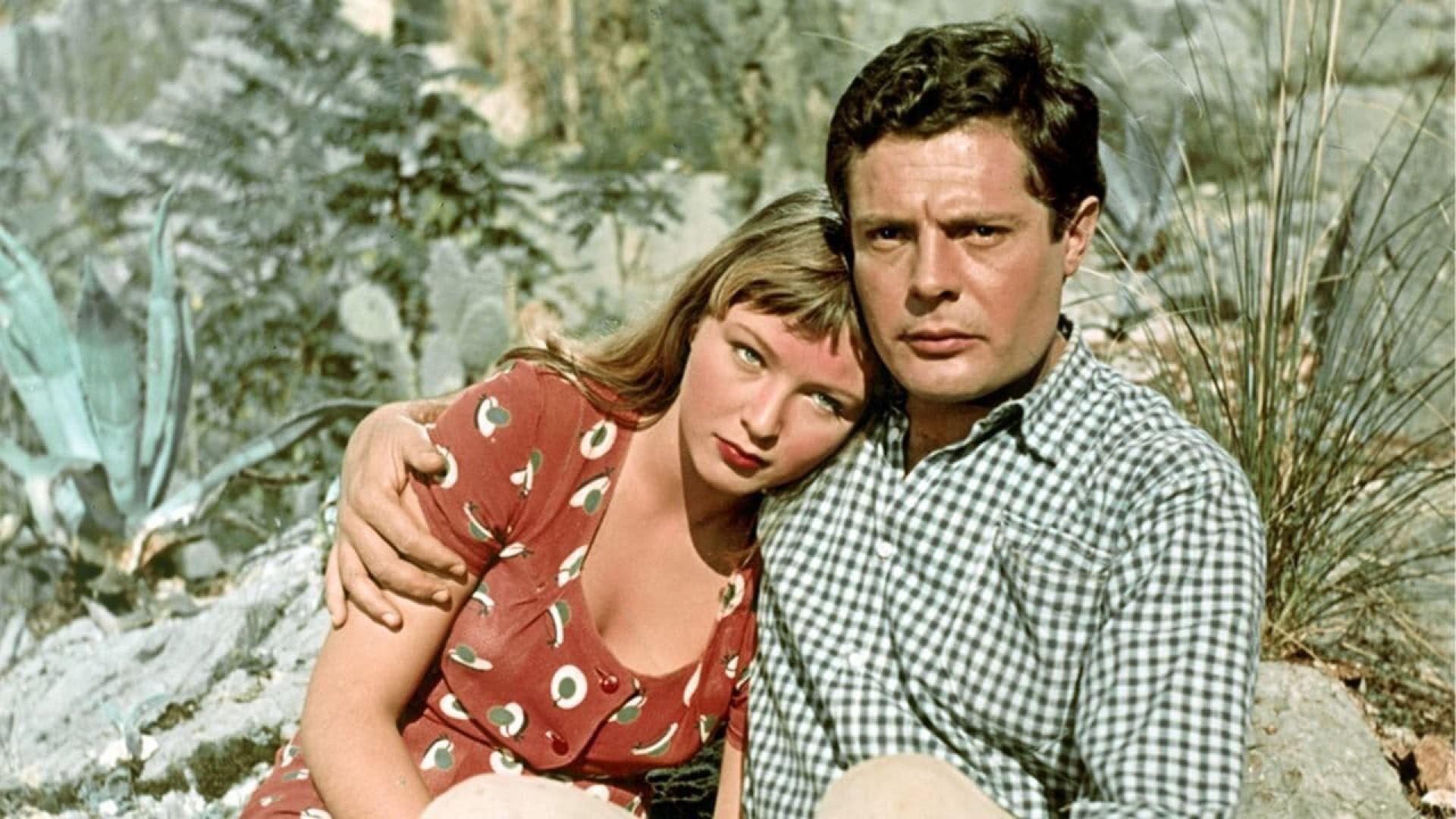 Days of Love