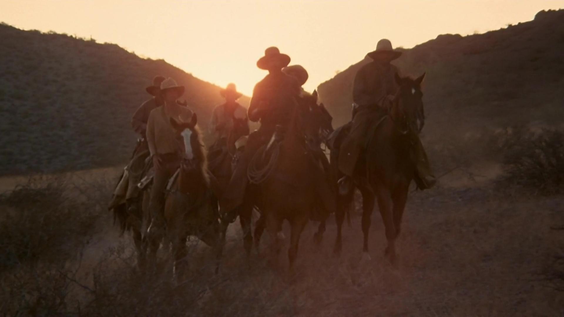 The Culpepper Cattle Co.
