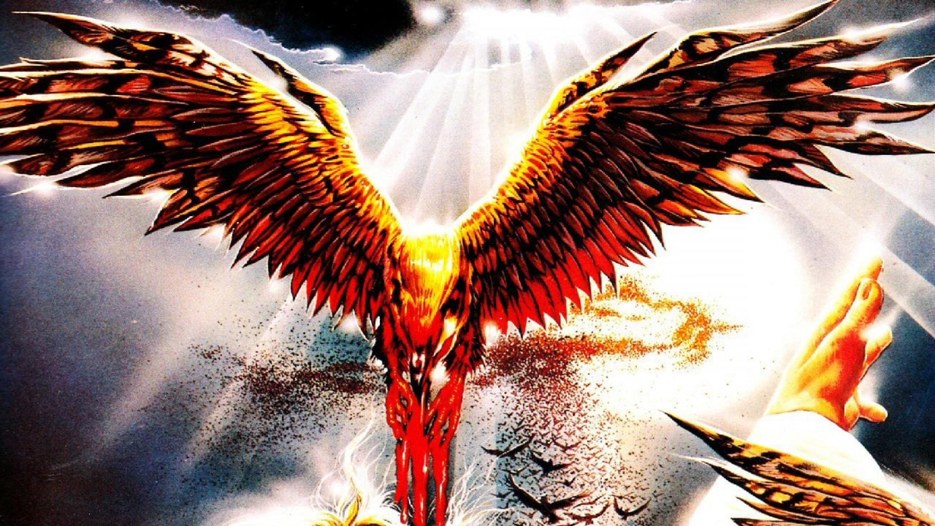 Killing Birds